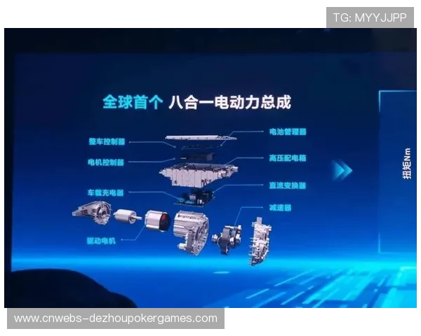 重庆铜梁龙升超后面临适应挑战经验实力存短板 重庆铜梁龙升超后面临适应挑战经验实力存短板