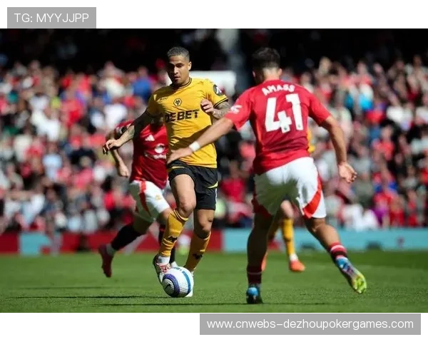 里尔夏窗失去戴维、戈麦斯等主力,实力受损 里尔夏窗失去戴维、戈麦斯等主力,实力受损