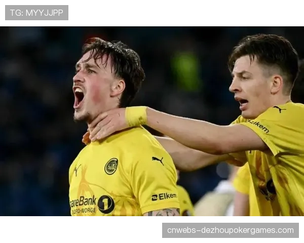 欧战资格关键战前瞻：弗赖堡与沃尔夫斯堡直接对话